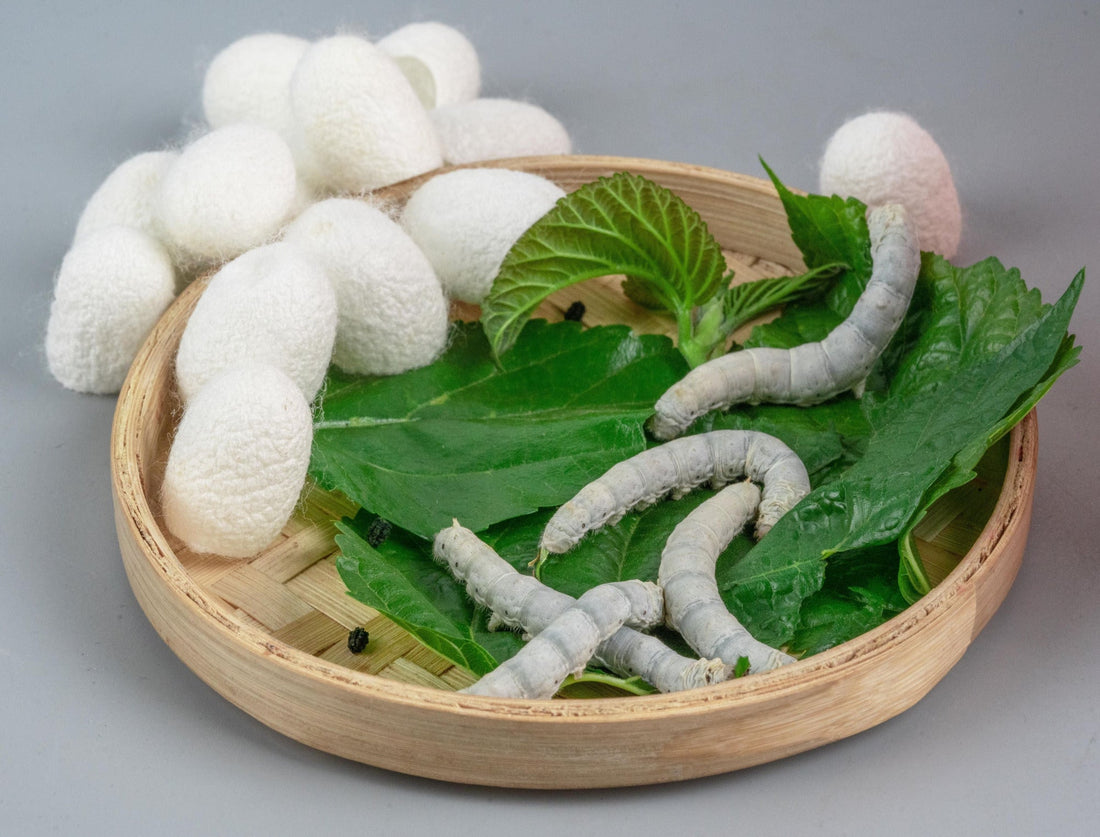 Sustainable Luxury: Why Silk is the Ultimate Eco-Friendly Fabric