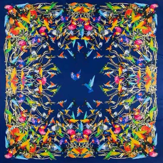 Colibrí