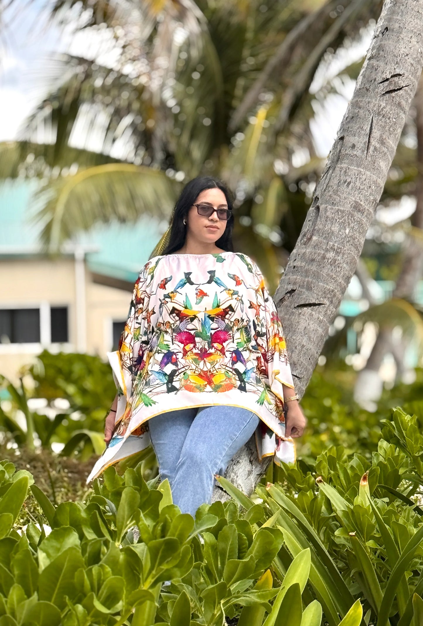 Colibrí